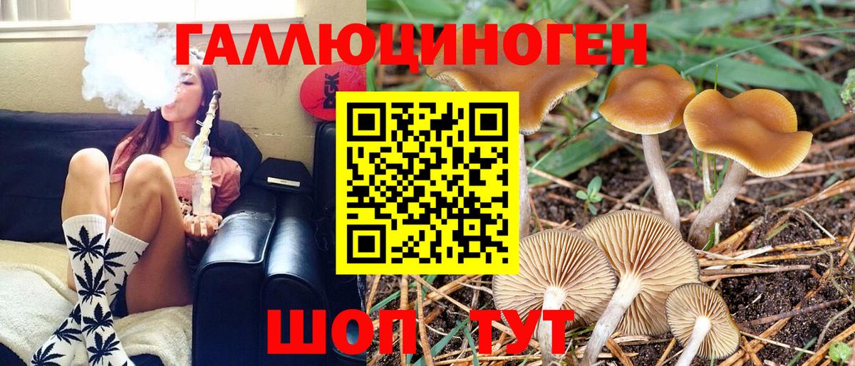 Псилоцибиновые грибы ЛСД  Вход с VPN  Торжок  Псилоцибиновые грибы Psilocybe 