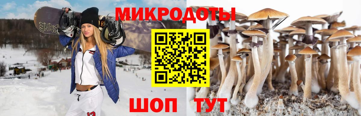 Псилоцибиновые грибы прущие грибы Торжок